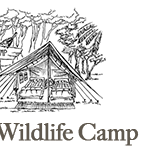 Koshi Tappu Wildlife Camp