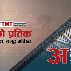 Ashok Steel Industries 