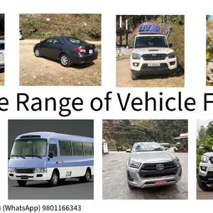 Wide Vehicle Rental Options
