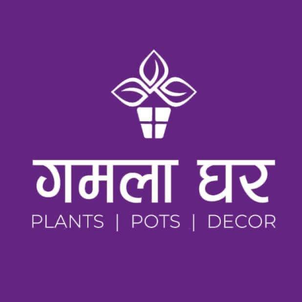 Buy Gamala & Indoor Plants in Nepal | Plant Nursery | Gamala Ghar