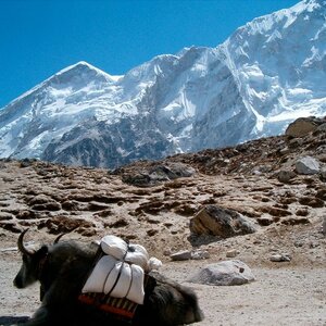 Everest Base Camp Trekking 