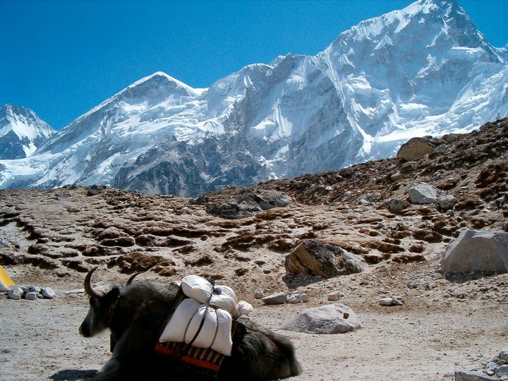 Everest Base Camp Trekking 