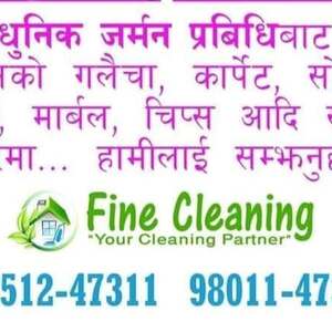 Fine Cleaning