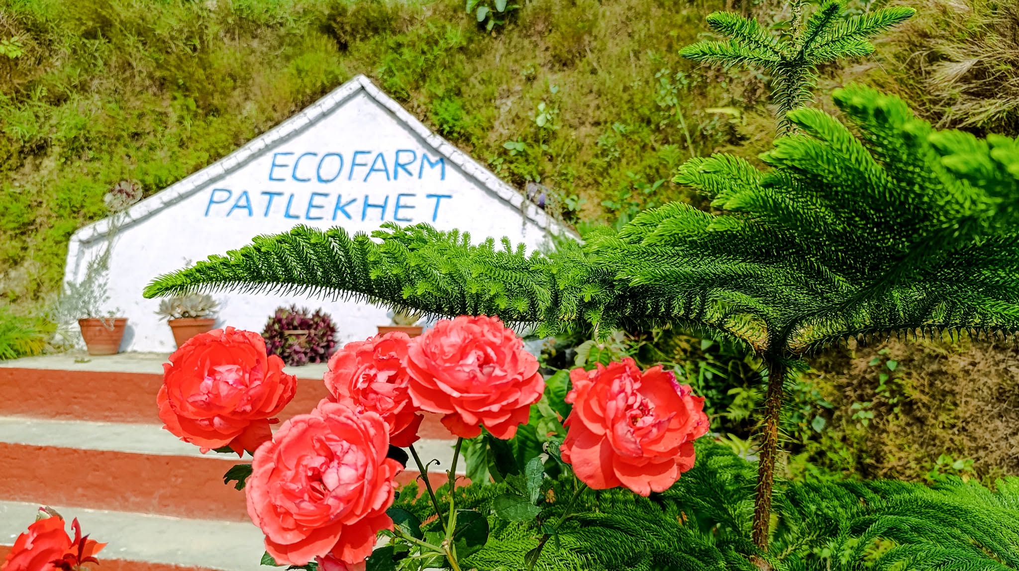 Patlekhet Eco Farmhouse