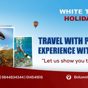 White Tiger Holidays