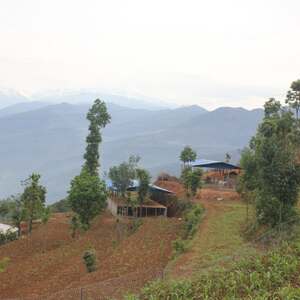 Irkhu Organic Krishi Farm
