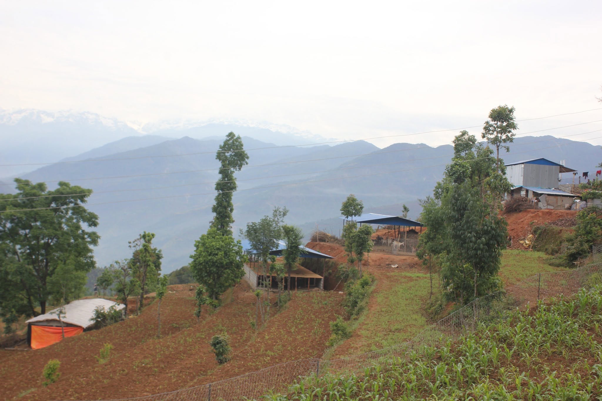 Irkhu Organic Krishi Farm